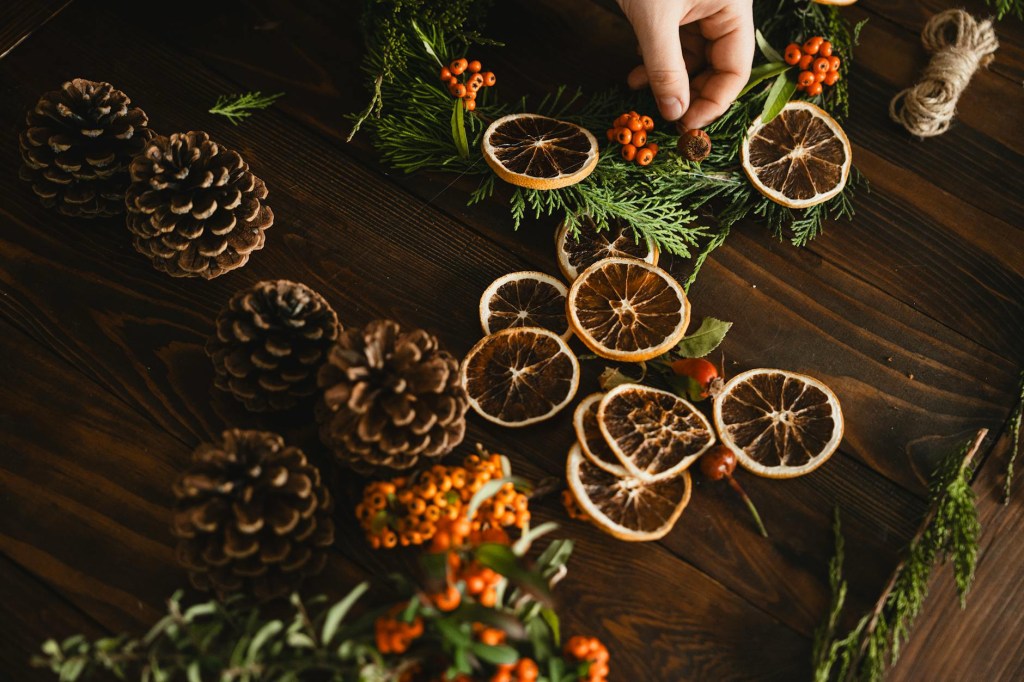 How to Make a Dried Citrus&nbsp;Garland